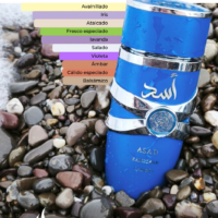 LOC HOMB ARABE LATTAFA ASAD ZANZIBARX100